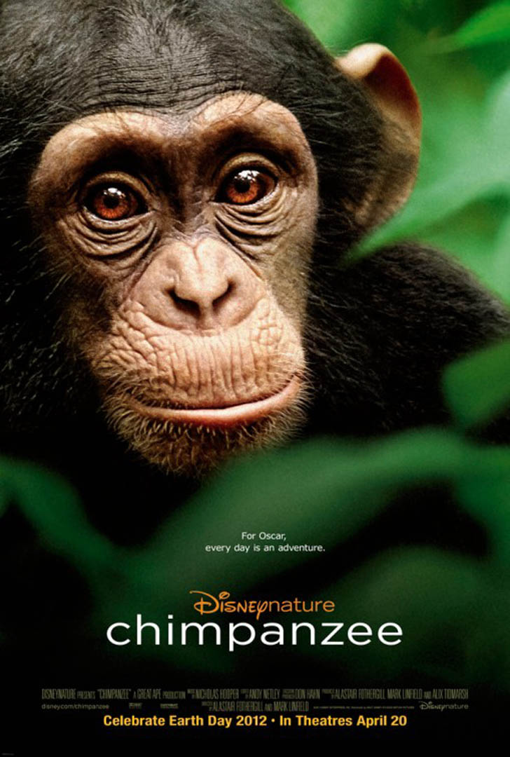 Documentary Chimpanzee
