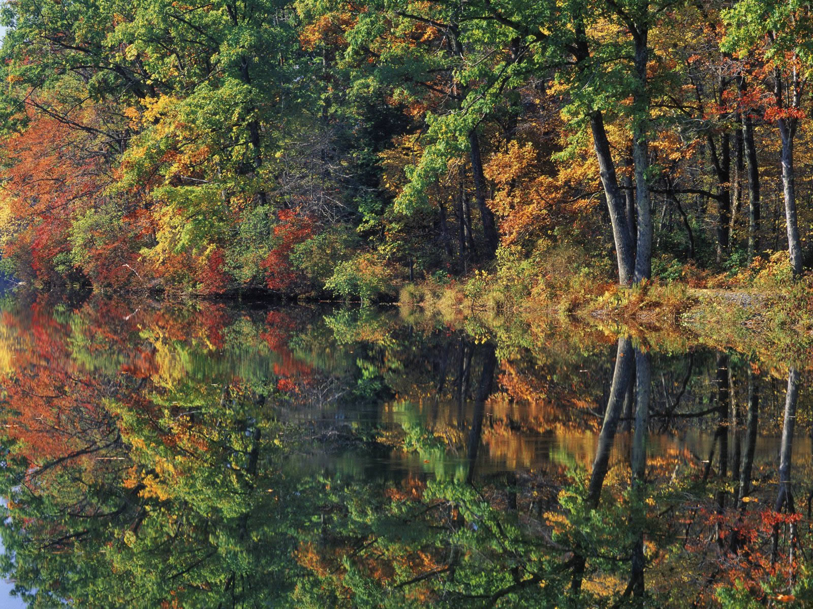 Autumn Reflections - Autumn Wallpaper
